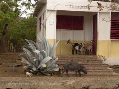 2004 Cuba, Santiago de Cuba, Playa Verraco, DSC01244 B_B720